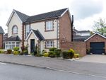 Thumbnail to rent in Millreagh Avenue, Dundonald, Belfast