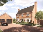 Thumbnail to rent in Admirals Green, Great Bentley, Essex