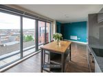 Thumbnail to rent in Lewis Street, Cardiff