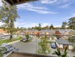 Thumbnail for sale in Rise Road, Ascot