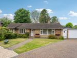 Thumbnail for sale in Moat Close, Prestwood, Great Missenden