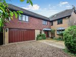 Thumbnail for sale in Treeside Way, Waterlooville, Hampshire