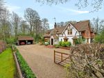 Thumbnail for sale in Standon Lane, Leith Vale, Ockley, Surrey