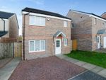 Thumbnail to rent in Hillhead Drive, Paisley