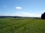 Thumbnail for sale in Muirhead, Kinloss, Moray