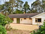Thumbnail for sale in St Ives Wood, Ringwood
