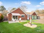 Thumbnail for sale in Golf Links Road, Ferndown