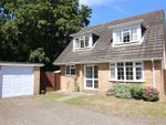 Thumbnail for sale in Palmer Place, New Milton, Hampshire