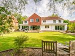 Thumbnail to rent in Chinthurst Lane, Shalford, Guildford