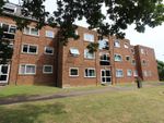 Thumbnail for sale in Kestrel Court, Greenhills, Ware, Hertfordshire
