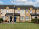 Thumbnail for sale in Siskin Close, Royston