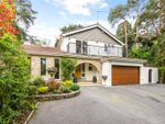 Thumbnail for sale in Canford Cliffs Avenue, Poole, Dorset