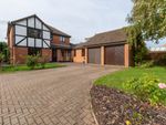 Thumbnail for sale in Tudor Place, Yaxley