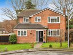 Thumbnail for sale in Shepherds Walk, Crowborough