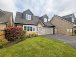 Thumbnail for sale in Sundrop Close, Clitheroe, Lancashire
