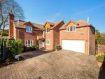Thumbnail for sale in Netley Firs Road Hedge End Southampton, Hampshire