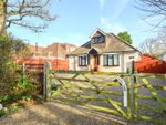 Thumbnail to rent in Chobham, Woking