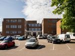 Thumbnail to rent in Pixmore Avenue, Letchworth Garden City