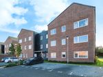 Thumbnail to rent in Blossom Drive, Welwyn Garden City