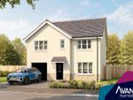 Thumbnail to rent in "The Nairn" at Sycamore Drive, Penicuik