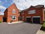 Thumbnail for sale in Cranbrook Walk, Exeter