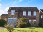 Thumbnail to rent in Colchester Vale, Forest Row, East Sussex