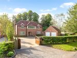 Thumbnail for sale in Charlton Down, Andover, Hampshire