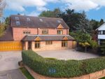 Thumbnail for sale in West View, Loughton