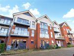 Thumbnail to rent in Duttons Road, Romsey, Hampshire