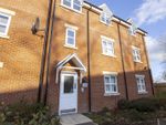 Thumbnail to rent in Escelie Way, Birmingham