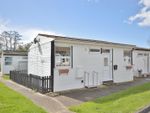 Thumbnail to rent in Castlehill Park, London Road, Great Clacton