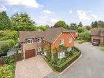 Thumbnail for sale in The Crescent, Medstead, Alton, Hampshire