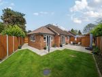 Thumbnail for sale in Willow Mews, Witley, Godalming, Surrey