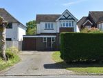 Thumbnail to rent in Collington Lane East, Bexhill-On-Sea