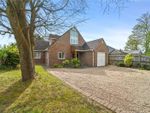 Thumbnail for sale in White Horse Road, East Bergholt, Colchester, Suffolk