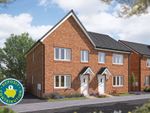 Thumbnail to rent in "The Hazel" at Morpeth Close, Orton Longueville, Peterborough