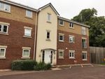 Thumbnail to rent in Golden Orchard, Halesowen