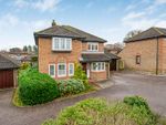 Thumbnail to rent in Hammonds Ridge, Burgess Hill, West Sussex