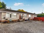Thumbnail for sale in Balmoral Road, Rattray, Blairgowrie