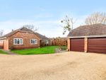 Thumbnail for sale in Markway Close, Emsworth