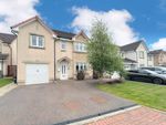 Thumbnail for sale in Ancaster Place, Falkirk