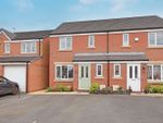 Thumbnail for sale in Peter Cartlidge Grove, Cliffe Vale, Stoke-On-Trent