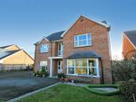 Thumbnail to rent in Glanarberth, Llechryd, Cardigan