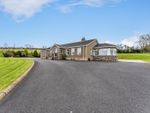 Thumbnail for sale in Begny Road, Dromara, Dromore