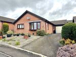 Thumbnail for sale in Beech Close, Barnfields, Newtown, Powys