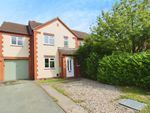 Thumbnail to rent in Heron Drive, Shrewsbury