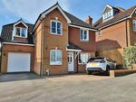 Thumbnail to rent in Maple Wood, Bedhampton, Havant