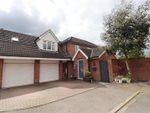 Thumbnail to rent in Oughton Close, Yarm