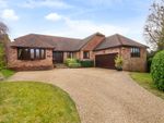 Thumbnail to rent in Harborough Gorse, West Chiltington