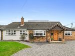 Thumbnail for sale in Tolleshunt D'arcy Road, Tolleshunt Major, Maldon